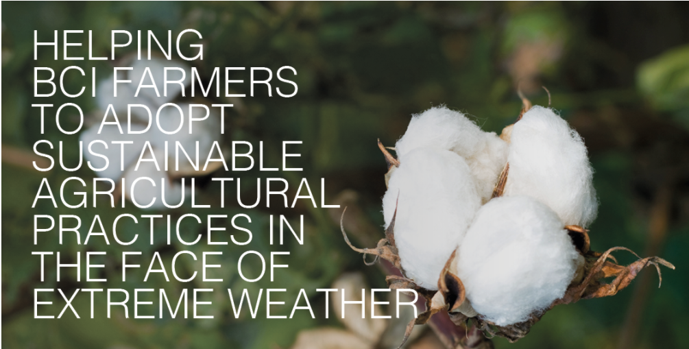 Tendam adheres to Better Cotton Initiative to improve cotton farming globally