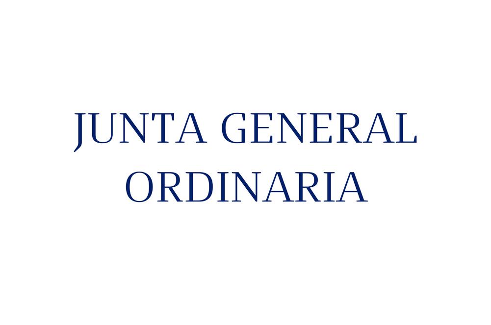 Junta General Ordinaria