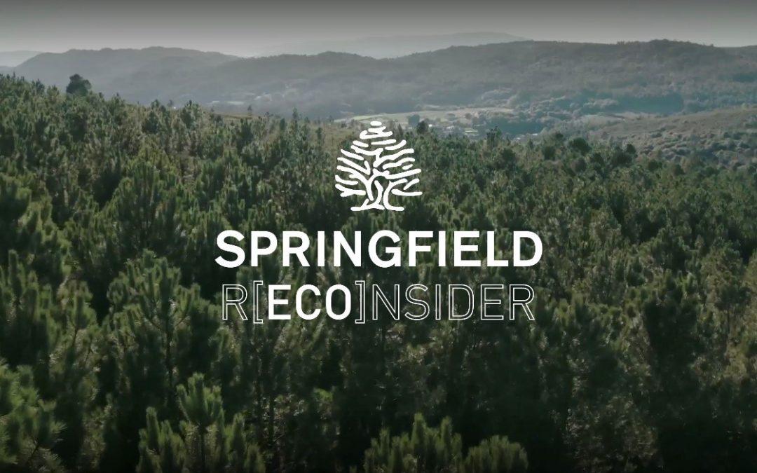 Springfield y Jesús Calleja presentan la nueva entrega del #bosquespringfield para este OI’21-22